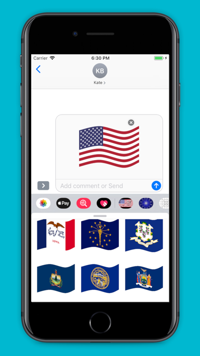 American Flags screenshot 2