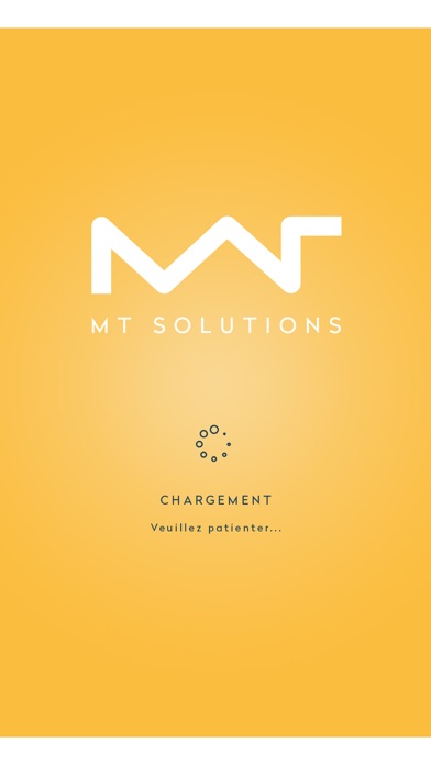 MT Solutions Screenshot