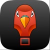 GuitarParrot icon