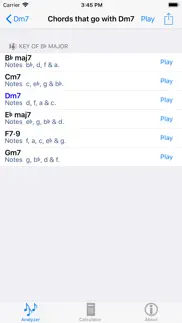 music chords iphone screenshot 2