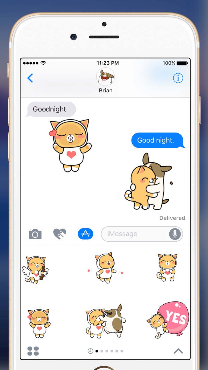 iPhone screenshot