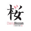 Cherry Blossom