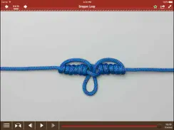 Animated Knots by Grog HD iPad image 3