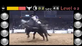 Game screenshot Bull Riding Challenge apk