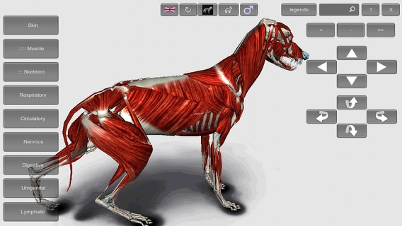 3D Canine Anatomyのおすすめ画像2