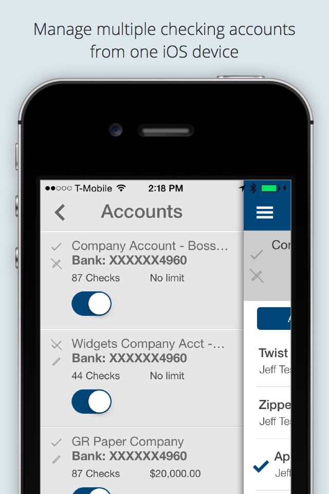 eChecksPro Mobile Checkbook screenshot 2