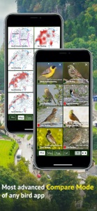 All Birds Germany screenshot #7 for iPhone