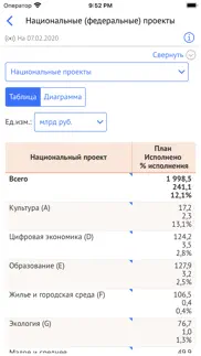 Бюджет.РФ айфон картинки 3