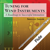 Flute Fingering and Tuning
