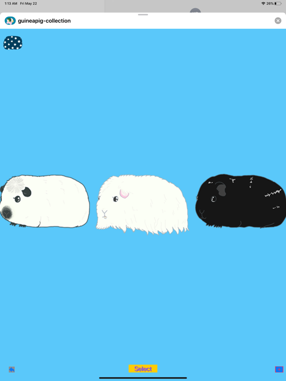 guineapig-collection iPad screenshot 7 - Stickers app
