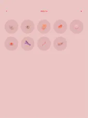 micro by thix ipad resimleri 4