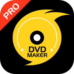 DVD Créateur Pro-Video to DVD