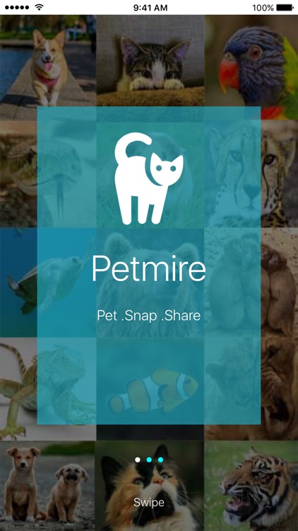 Petmire - Pet Community