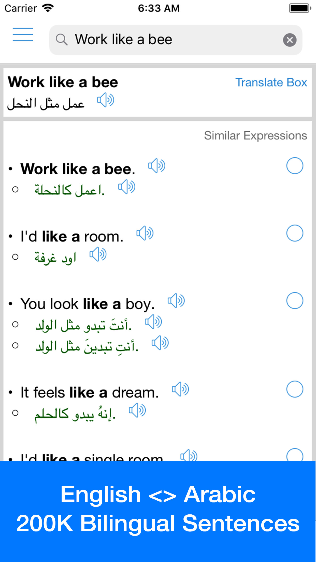 Arabic Translator Offline