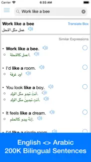 arabic translator offline iphone screenshot 1