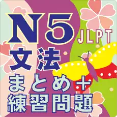 Application N5 文法　まとめ+練習問題 4+