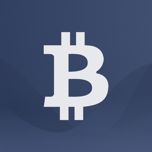 The Bitcoin Today