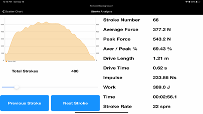 Remote Rowing Coach Screenshot