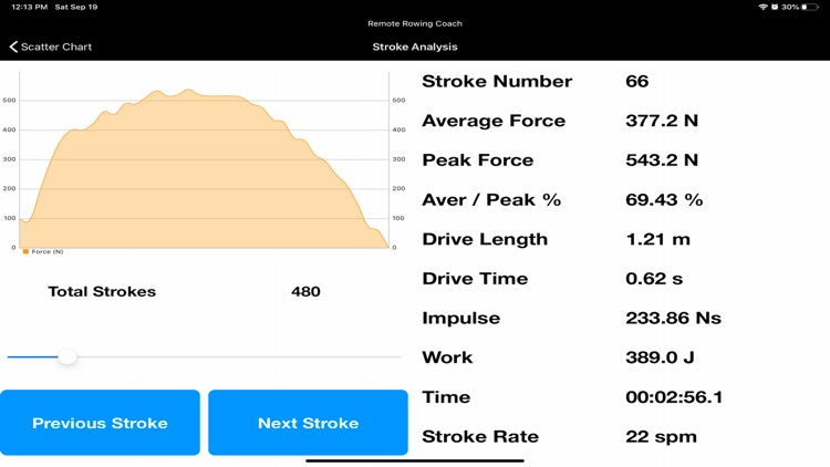 Remote Rowing Coach screenshot-6