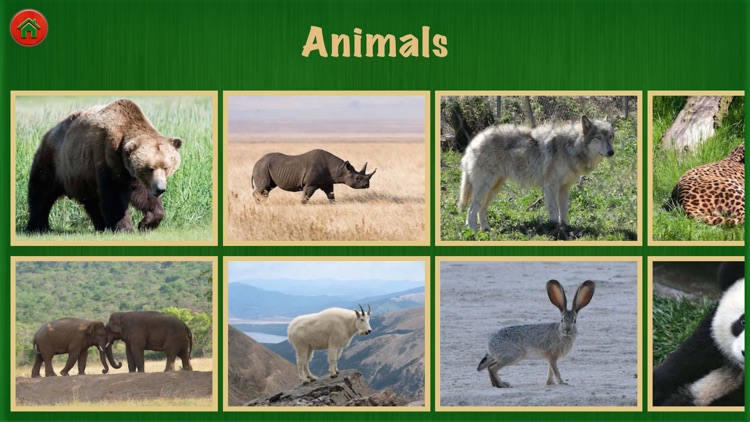 Animal Sounds Pro For Fun