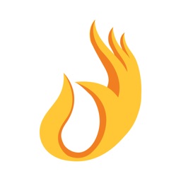 CEO Việt Nam Online