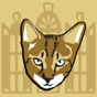 Hemingway Cats app download