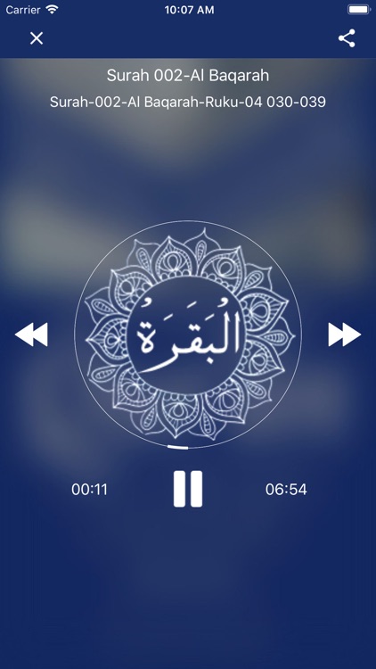 Tafheem ul Quran: Audio screenshot-3