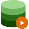 Videlion - Video Organizer Icon
