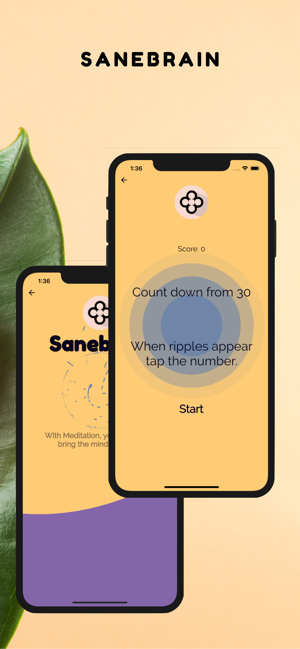 Sanebrain PRO - Mindfulness(圖1)-速報App