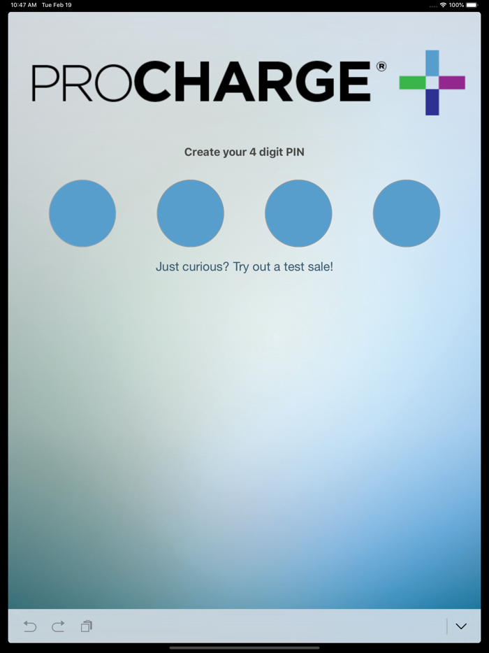 ProCharge Plus