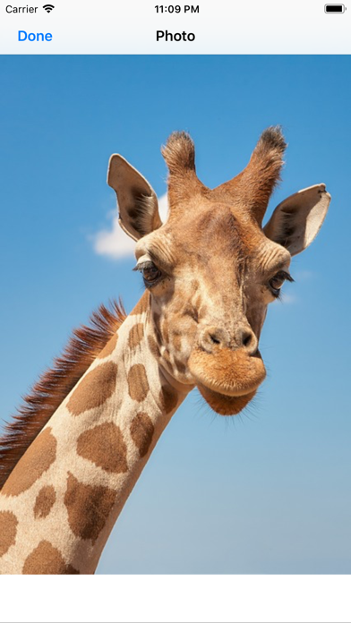 Lotsa Giraffe Stickers screenshot 3