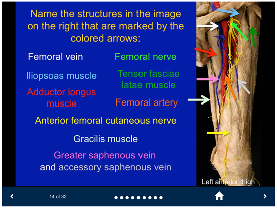 MSK Anatomy - SecondLook iPad screenshot 4 - Medical app