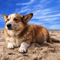 App Icon for Pegatinas de perros lindos App in Peru IOS App Store