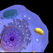Icon for 3D Virtual Cell - biosphera.org App