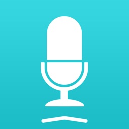 Widget Note Audio