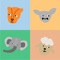 Quiz Animals – This is a quiz where you need to guess a particular animal by its open body parts