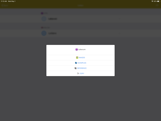 Latin Dictionary - offline iPad screenshot 4 - Reference app