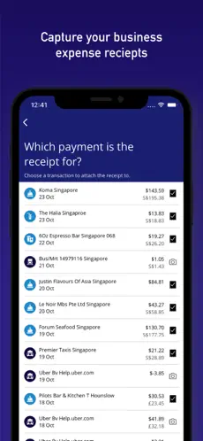 Captura 3 Visa Commercial Pay iphone