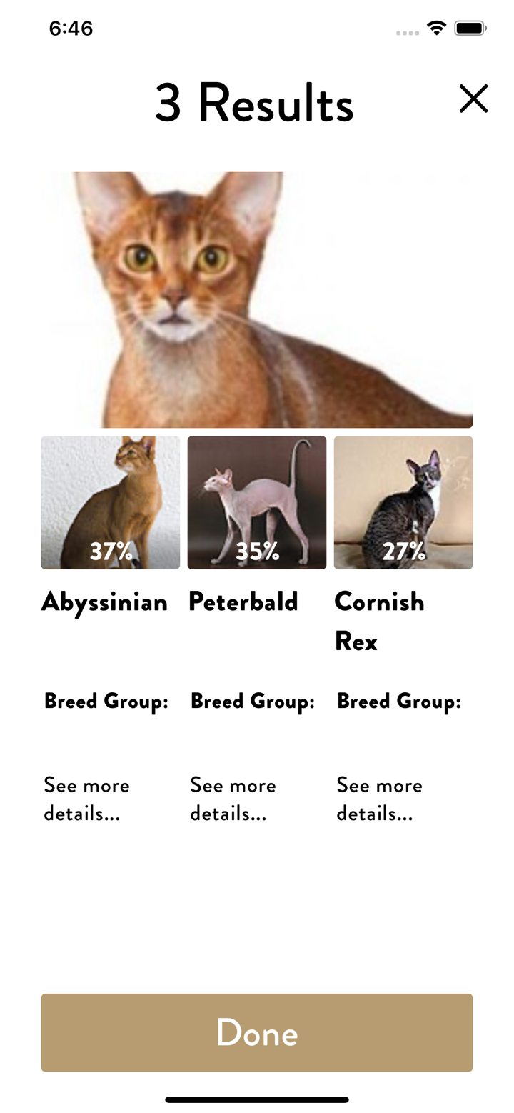 Cat Breed Scanner — CatsPedia screenshot 6