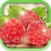 Similar Edible Wild Plants Apps