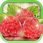 Download Edible Wild Plants app