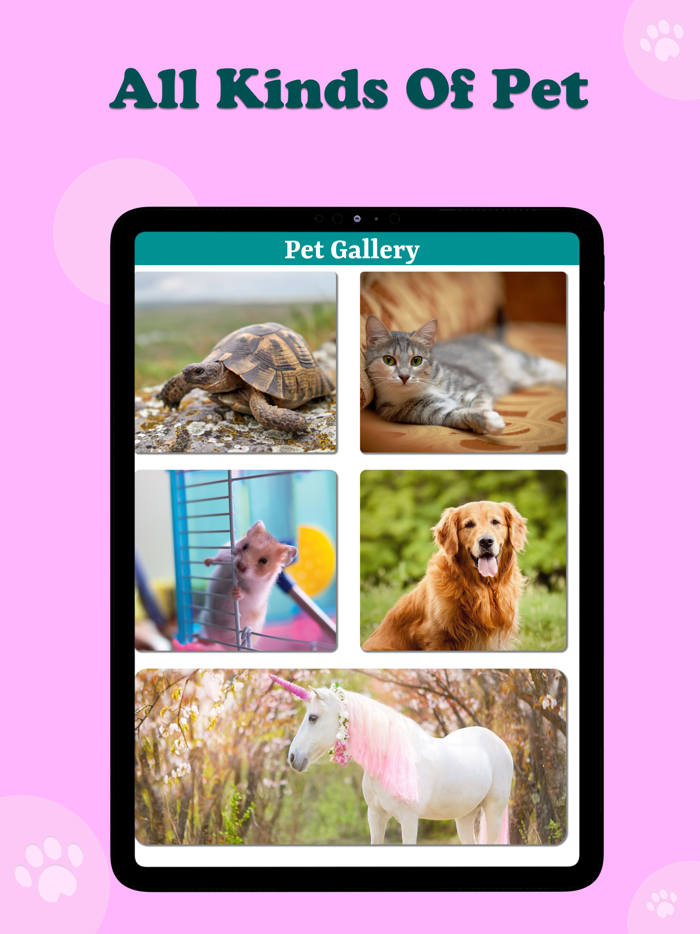 PetsFuture Baby Generator Sim