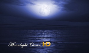 Moonlight Ocean HD