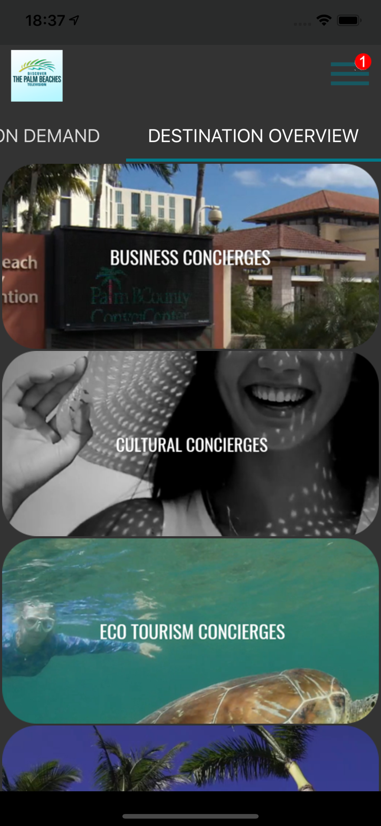 The Palm Beaches TV