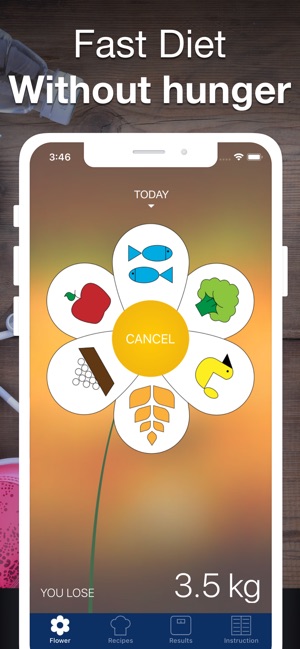 Six Petals Diet