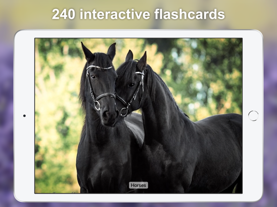 Sound Touch for Toddlers iPad screenshot 2 - Education app