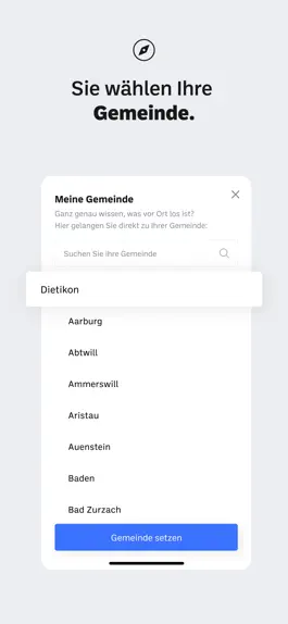 Game screenshot Limmattaler Zeitung News hack