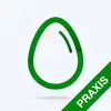 Praxis Core Practice Test problems & troubleshooting and solutions
