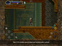 Castlevania: SotN iPad image 3