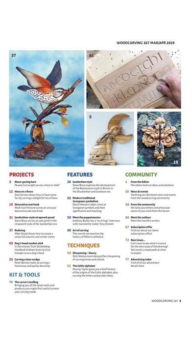 Woodcarving Magazine screenshot1